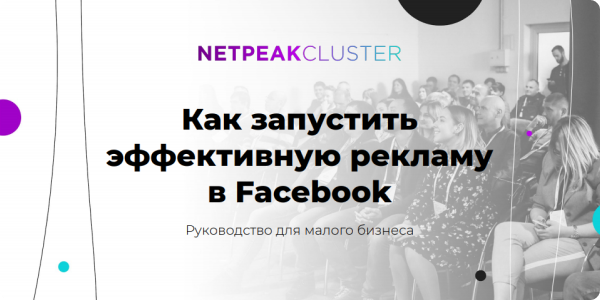 Netpeak Cluster